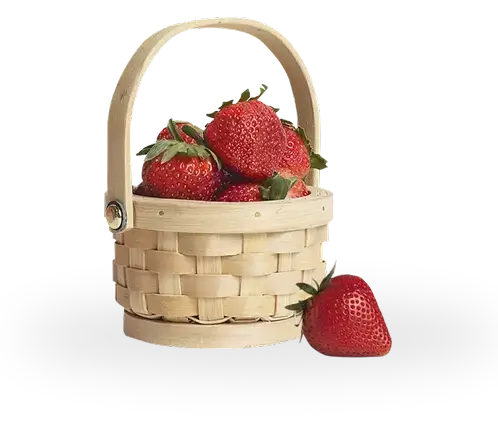 Basket of strawberries